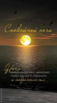 Открытка «Пожелание»: Красивая открытка: Спокойной ночи у моря под луной. Тэги: красивая, позитив, настроение, птица…