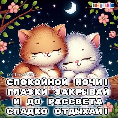 Открытка «Кот»: Милые котики желают спокойной ночи и сладких снов. Тэги: животное, пожелание, красивая, цветок…